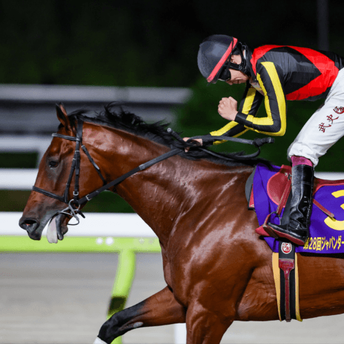 Silver Ratio winning the Japan Dirt Classic