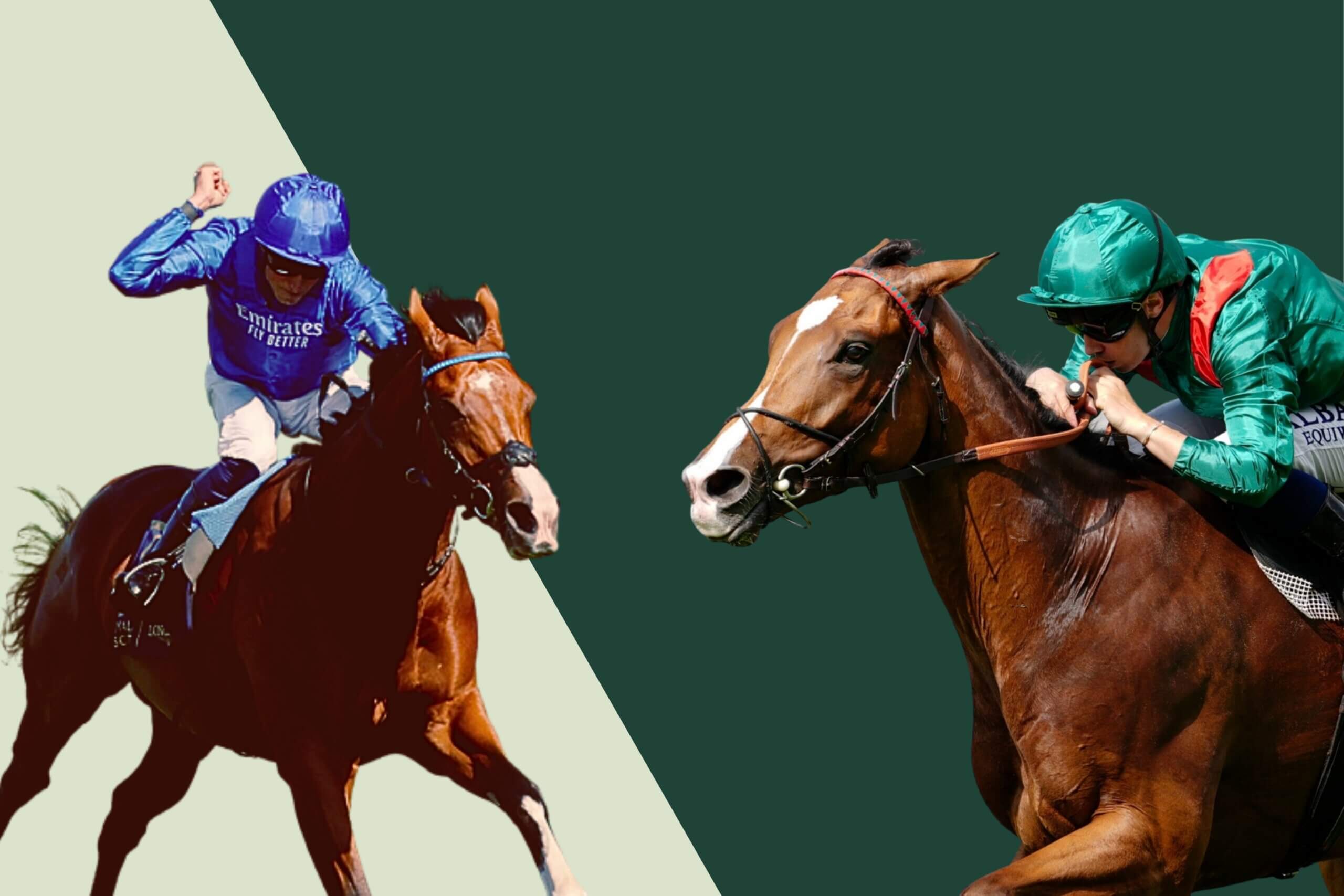 Ombudsman will clash with Calandagan in the Champion Stakes