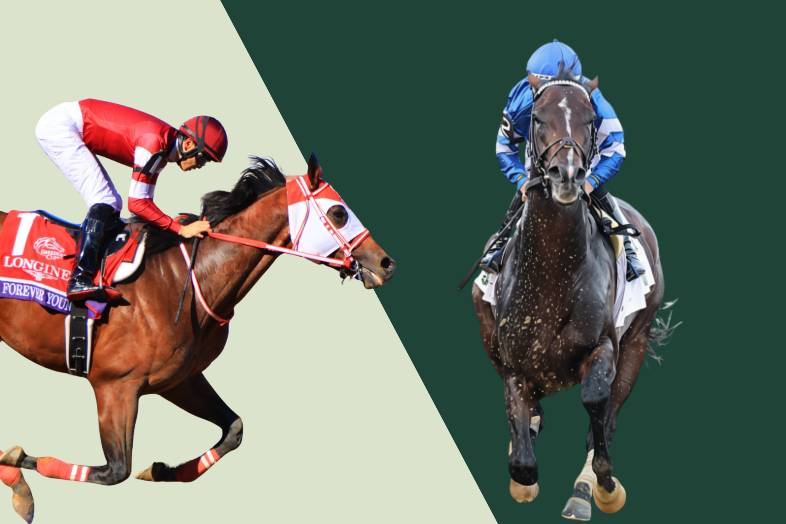 Forever Young and Sovereignty are finally set to clash in the G1 Breeders' Cup Classic in 2026
