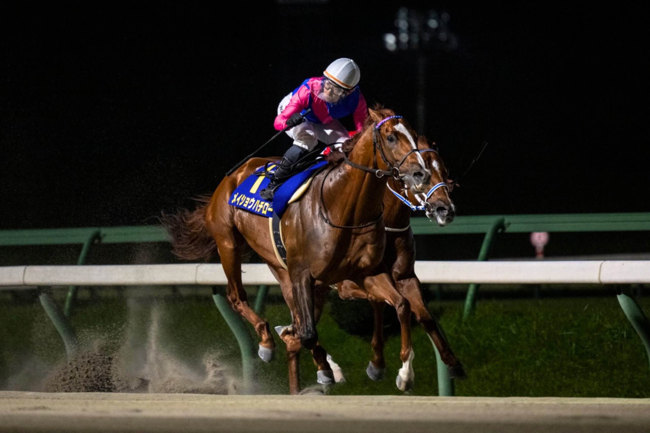 Meisho Hachiro, ridden by Hiroto Yoshihara, in the straight on the way to winning the Mile Championship Nambu Hai at Morioka